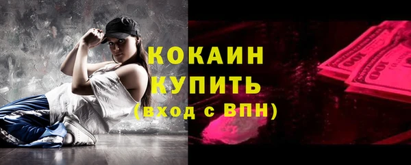 гашик Пестово