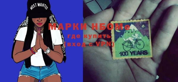 гашик Пестово