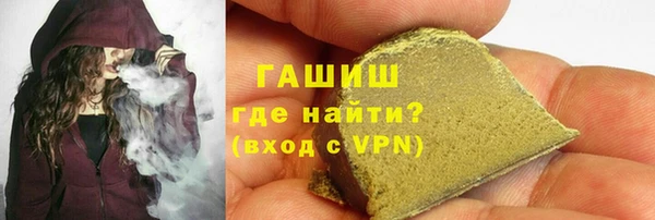 гашик Пестово