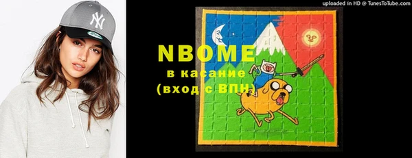 гашик Пестово