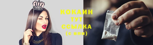 гашик Пестово