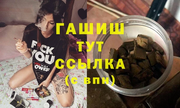гашик Пестово