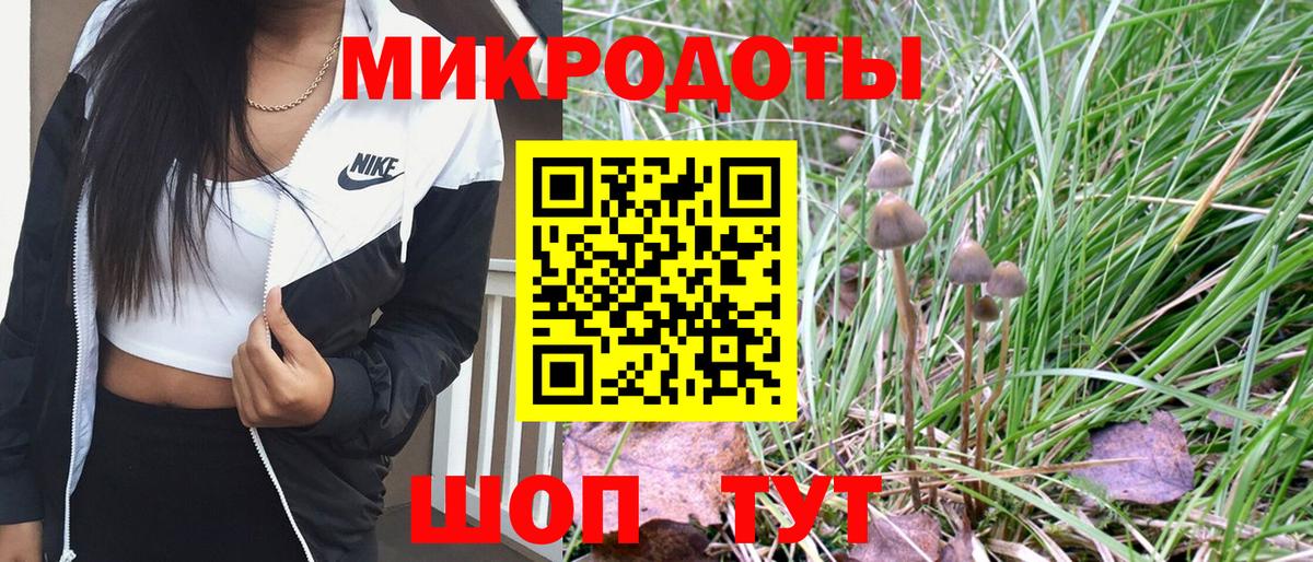 Галлюциногенные грибы GOLDEN TEACHER  Сарапул 