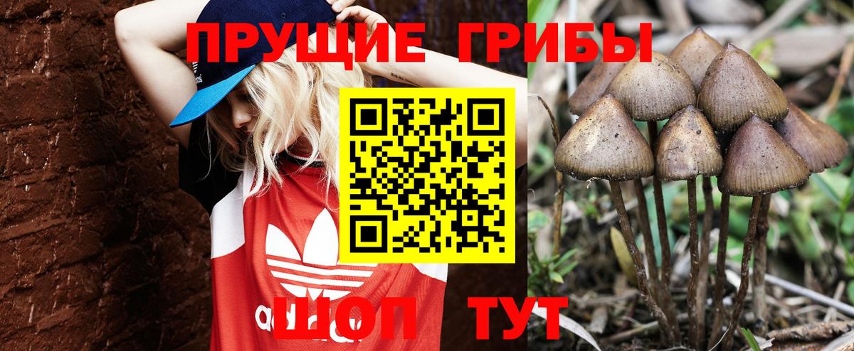 Псилоцибиновые грибы Magic Shrooms Сарапул
