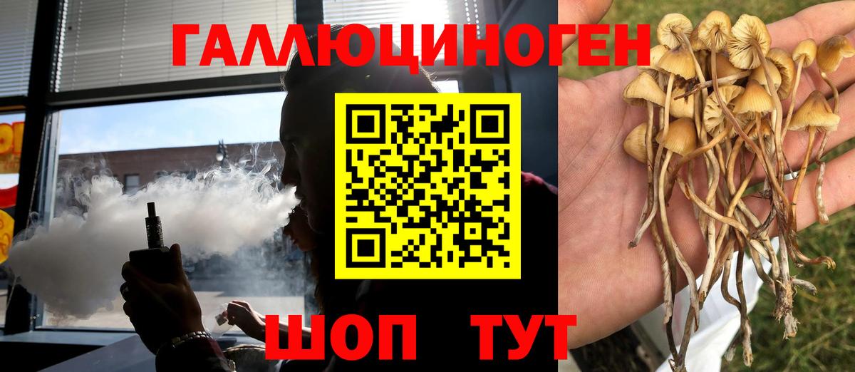 Галлюциногенные грибы мухоморы  Галлюциногенные грибы мицелий  где купить наркотик  Вход с VPN  Сарапул 