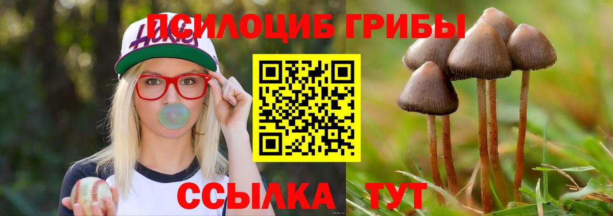 Псилоцибиновые грибы GOLDEN TEACHER Сарапул